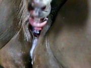 Preview 6 of 19yr Old JOI Countdown Masturbation Squirt