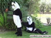 Preview 5 of Nicole Aniston & Lucas Frost Panda Style