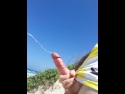 Preview 4 of Letting Cum Fly at the Beach
