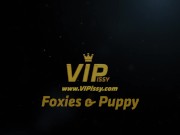 Preview 3 of Vipissy - Foxies Puppy - Lesbian Piss