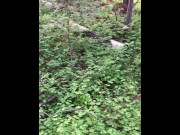 Preview 1 of PUBLIC BLOWJOB, DOGGYSTYLE AND FACIAL WHILE ON A HIKE IN THE WOODS!