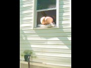 Preview 2 of HORNY dildo orgasm squirting out of window while neighbors are outside!
