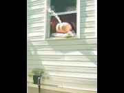 Preview 5 of HORNY dildo orgasm squirting out of window while neighbors are outside!