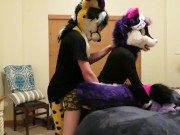 Preview 3 of Cheetah Interrupts Laundry Day