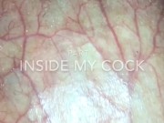 Preview 1 of Inside My Cock - Part 1