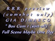 Preview 1 of B.B.B. preview: Gia DiMarco "Box Cum 1 (sort-of!)" cum only AVI noSloMo