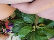 Preview 2 of Piss cleaning some dusty fake flowers