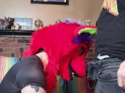 Preview 1 of Red Furry Blowjob