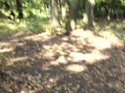Preview 1 of Pissing milf followed by voyeur in the forest