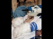 Preview 3 of Kobaruto, Sergal horny and paws off