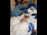 Preview 4 of Kobaruto, Sergal horny and paws off