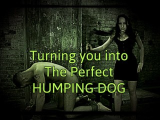 Humping Porn Captions - Turning you into the perfect humping dog | free xxx mobile videos -  16honeys.com