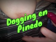 Preview 1 of My wife enjoys being fucked by strangers.  Night dogging in Pinedo.