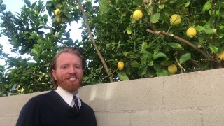 I Do Not Steal Lemons From Someone Else's Lemon Tree