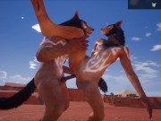 Preview 5 of Wild Life Desert Fox Fun / Furry Porn