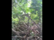 Preview 1 of pissing and then jerking off in the woods