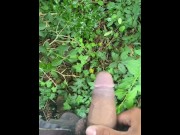 Preview 3 of pissing and then jerking off in the woods