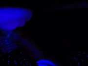 Preview 4 of Nasty Talk with Sexy Moaning Cumshots - Black Light