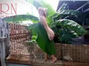 Preview 3 of Rural striptease. Country girl dancing in the yard of her house Rustic striptease with banana leaf