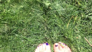 Silky soft young feet playing in freshly cut grass