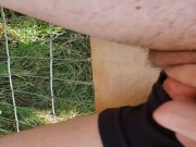 Preview 6 of FTM Spraying Pee From Fence