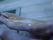 Preview 5 of Bare feet in honey, a foot fetish yummy POV! (pov foot worship, foot licking, bare feet, sexy soles)