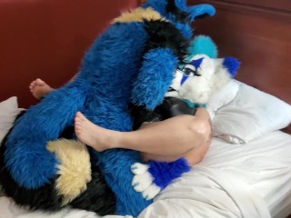 Real Furry Sex Orgy - Brff Murrsuit Party / orgy breeding and all kinds of furry sex | free xxx  mobile videos - 16honeys.com