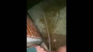 Naughty Slut is too lazy to use the bathroom and opens up the door and pisses outside!