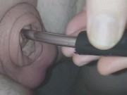 Preview 2 of Inserting electro-sound into my huge flaccid cock.. moaning with pleasure