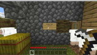 Getting Fucked by a Creeper in Minecraft 3: Free Sex