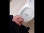 Preview 1 of Fast Cum in Public Toilet