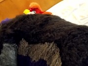 Preview 4 of Bull fursuiter sucks off and gets bred by pent up Bird suiter