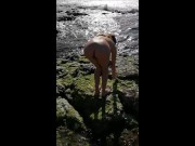 Preview 1 of The best ass of Pornhub relaxing and pissing on beach 😉
