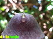 Preview 4 of Huge Cum Explosion in the jungle after a Horny Guy attempted an Extreme Close Up Precum Play