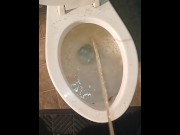 Preview 1 of stepmommy let me piss in the potty