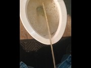 Preview 2 of stepmommy let me piss in the potty