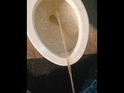 Preview 3 of stepmommy let me piss in the potty
