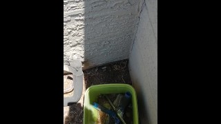 Peeing in a bucket outside