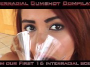 Preview 3 of SV Interracial Cumshot Compilation