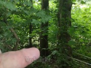Preview 1 of Cruising and wanking outside in a forest next to a highway