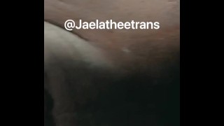 Jaelatheetrans creaming all over a big Dick