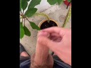 Preview 2 of I irrigate the plant with my dick