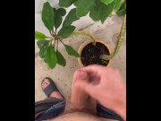 Preview 3 of I irrigate the plant with my dick