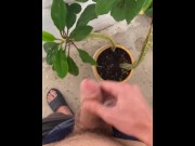 Preview 4 of I irrigate the plant with my dick