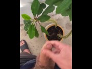 Preview 5 of I irrigate the plant with my dick