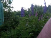 Preview 5 of Naked Cyclist and Lupine Field
