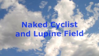 Naked Cyclist and Lupine Field