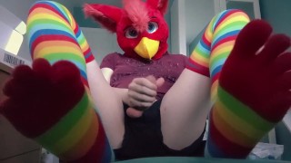 Fursuit Teasing with cute rainbow socks, stripping, and cumming inside condom