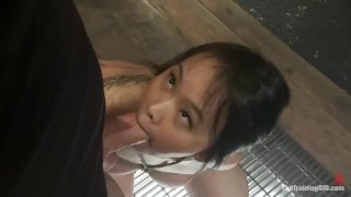 Cute Asian Teen With Braces Having Fun Sucking Dick