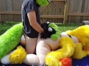 Preview 3 of Furry backyard Sex